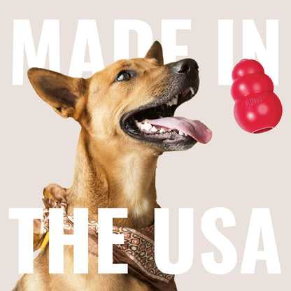 KONG - Aqua - Floating Fetch Toy for Water Play - For Medium Dogs