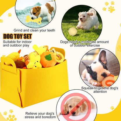 Abbylike 50 Pcs Puppy Supplies Starter Kit for Small Dogs Puppy Essentials Includes Leash, Bowls, Teeth Brushes, Water Bottle, and More Accessories for Dogs Pet Day Welcome Gift(Yellow)