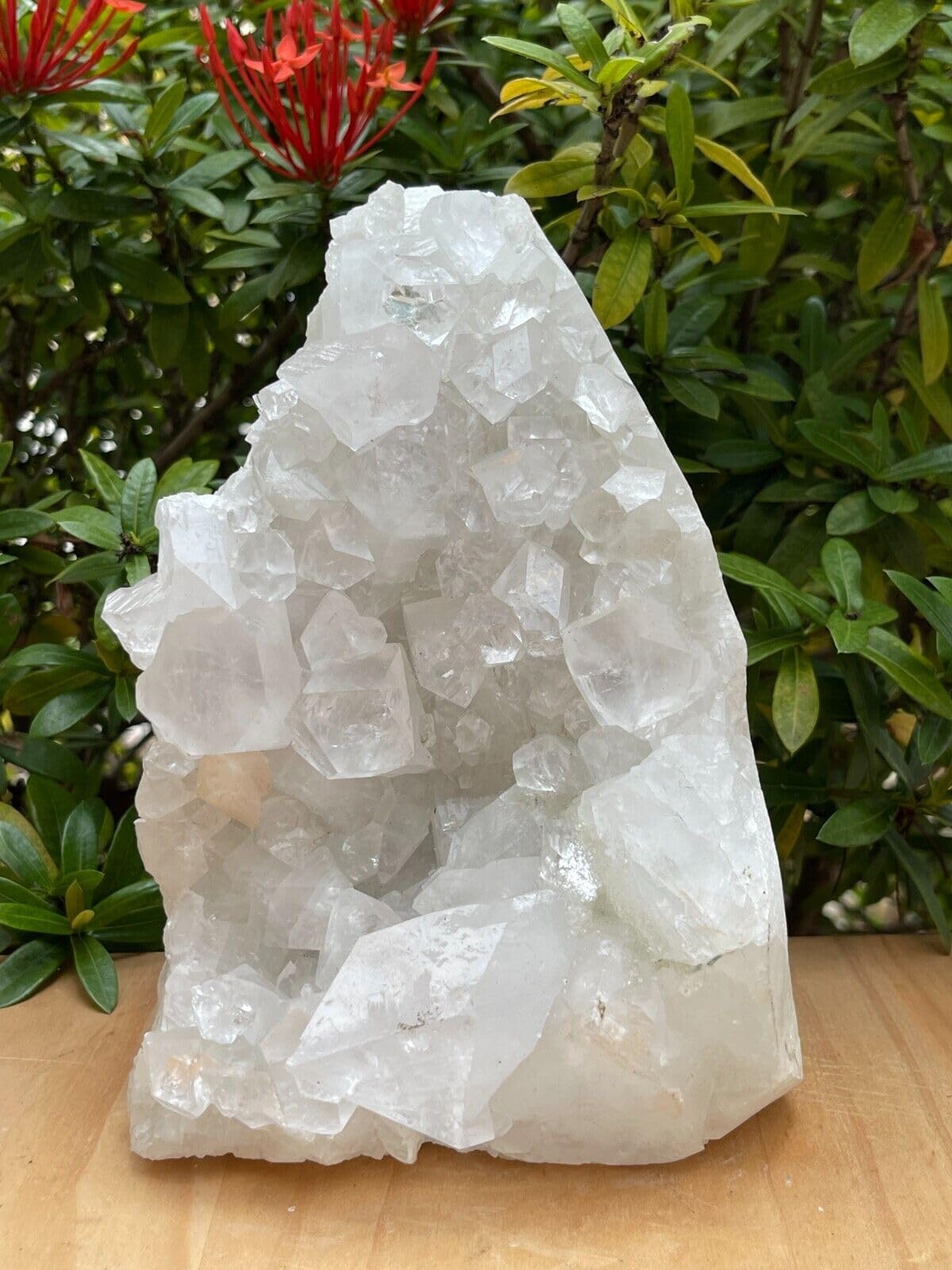 GAF TREASURES Apophyllite Cluster Geode Free Standing | Natural Apophyllite Crystal Display Piece | 0.5–9 lbs | Healing, Decor & Collectible Mineral