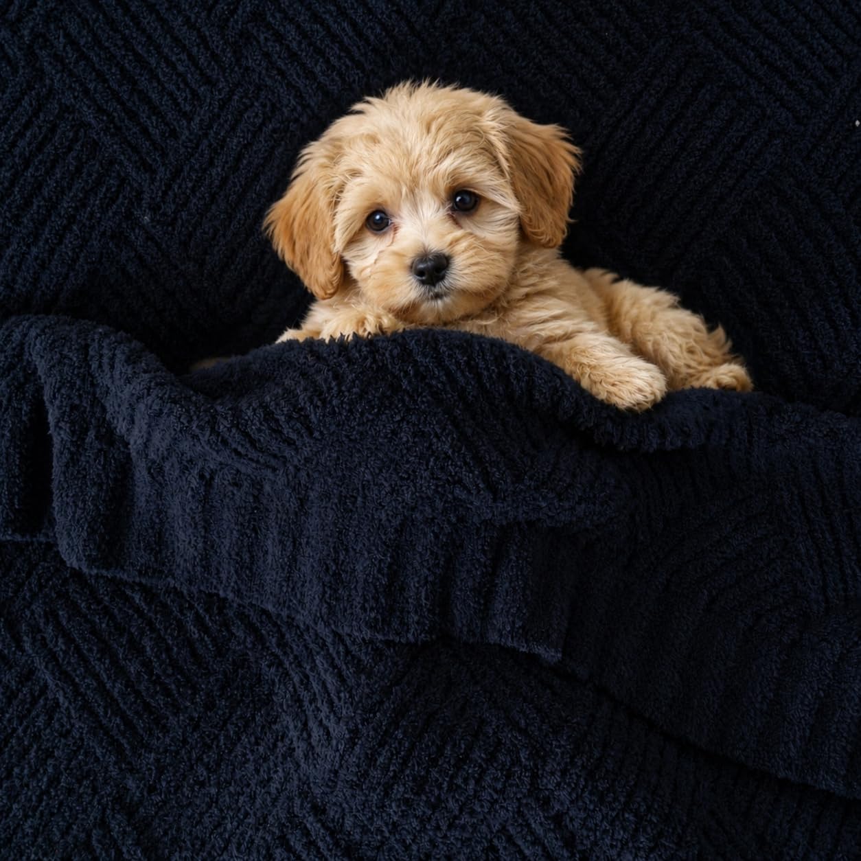 Battilo Navy Blue Chenille Throw Blanket for Couch, Soft Diamond Textured Knit Blanket, Cozy Lightweight Decorative Blankets for Sofa, 50"x60"