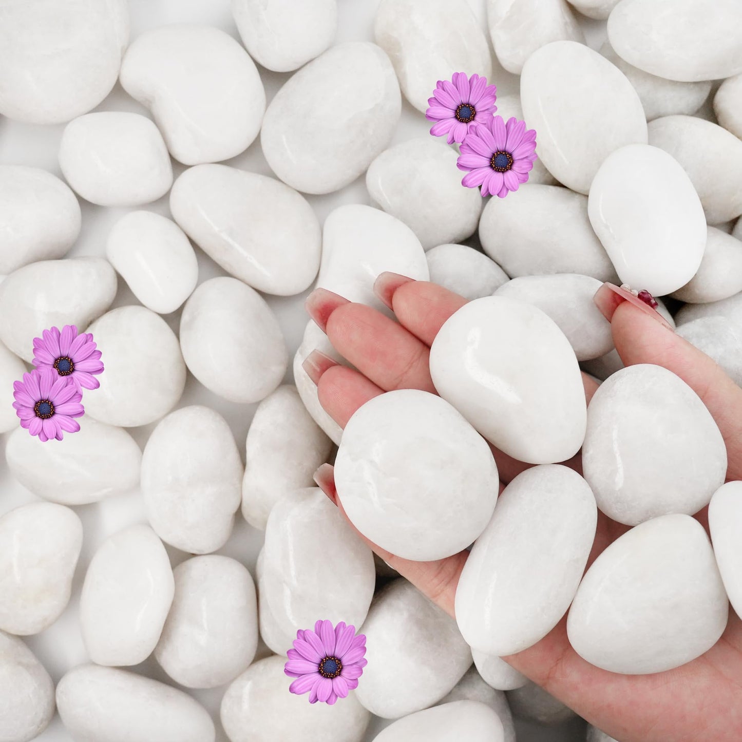 NUPICK 16lb White River Rocks for Outdoor Landscaping, 1-2 Inch Pebbles for Indoor Plants, Natural Polished Aquarium Gravel, Decorative Rocks for Succulent, Garden, Vases Fillers, Bird Baths