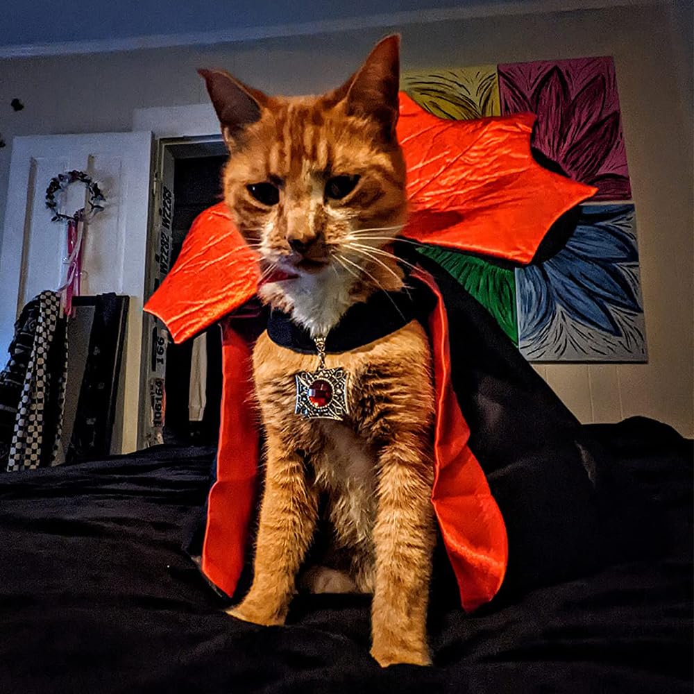 Funny Halloween Dog Cat Vampire Cloak Costume Stand-Collar Design Pet Cape Cosplay Apparel Holiday Party Dress Up Decoration(Vampire,S)