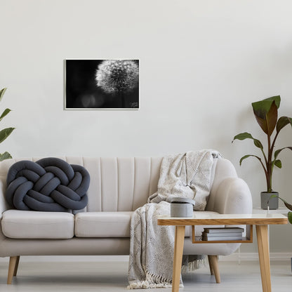 Stupell Industries Modern Black Dandelion Photography Wall Plaque Art, Design by Stephanie Dicks