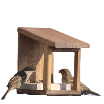 Bird feeder