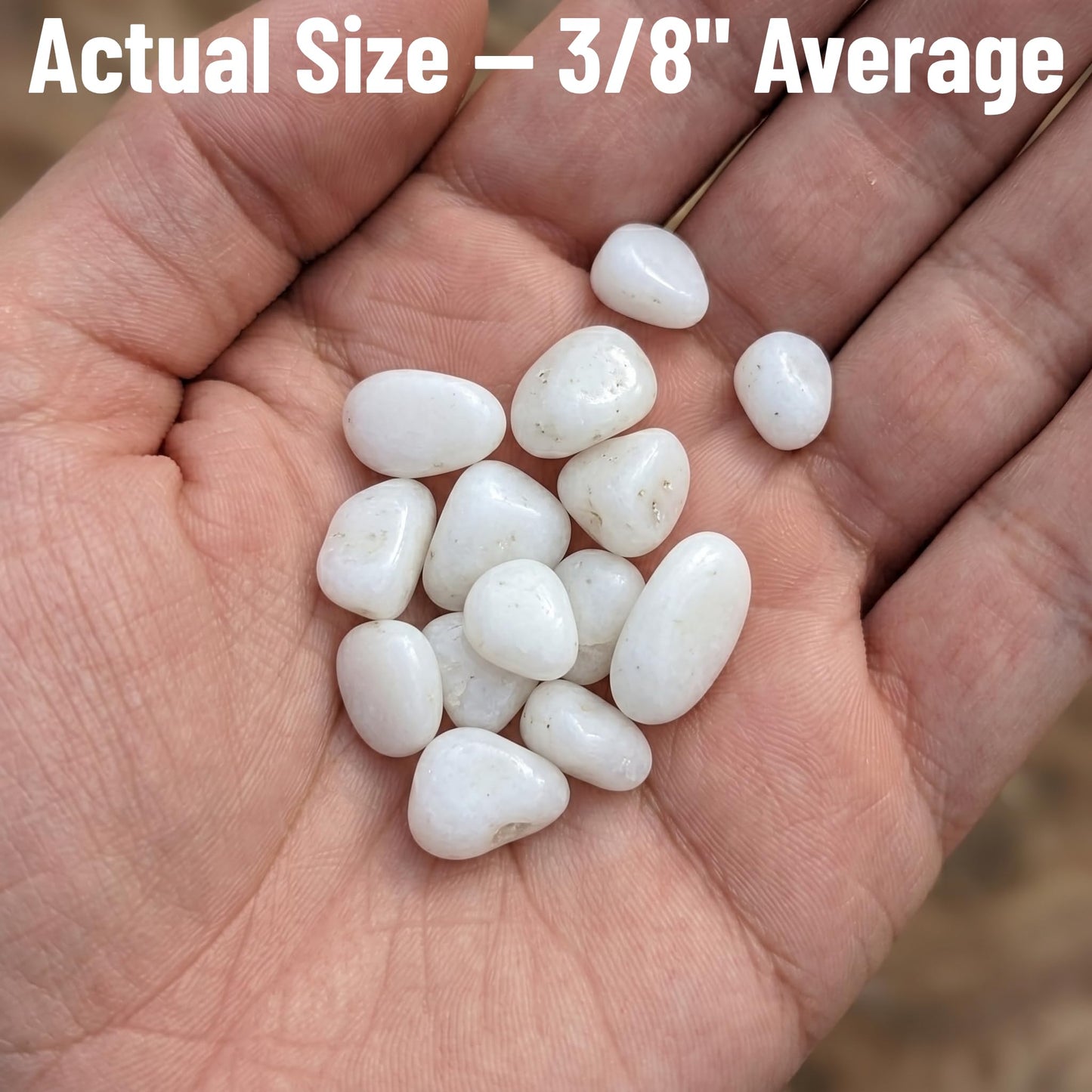 Midwest Hearth Decorative White Pebbles for Plants & Vase Filler | Polished Natural Stones | 3/8" Size (2-lb Bag)