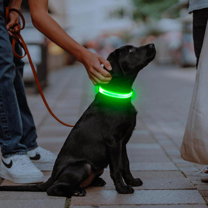 Illumifun Light Up Dog Collar, USB Rechargeable LED Dog Collar Glow in the Dark, Adjustable Pet Collar Safety Dog Lights for Night Walking (Green, Medium)