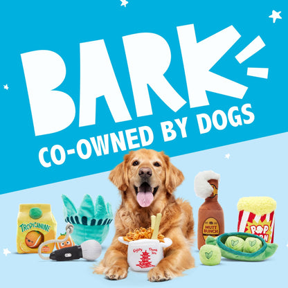 Barkbox 2 in 1 Interactive Plush Dog Toy - Rip and Reveal Toy for Dogs and Puppies - Stimulating Squeaky Pet Toys | Consuela Cactus Small