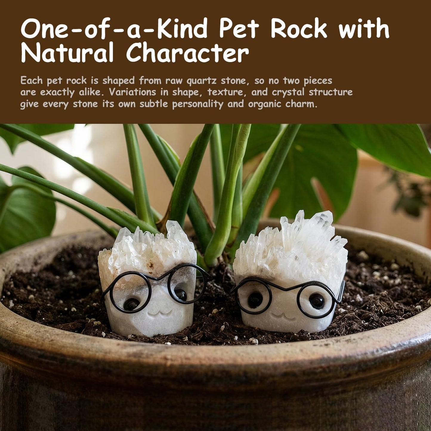 HouseBegan Pet Rock Desk Decor Made from Natural Quartz Crystal, Mystery Healing Stone with Calming Energy, Cute Small Gift for Office, Birthday (White)
