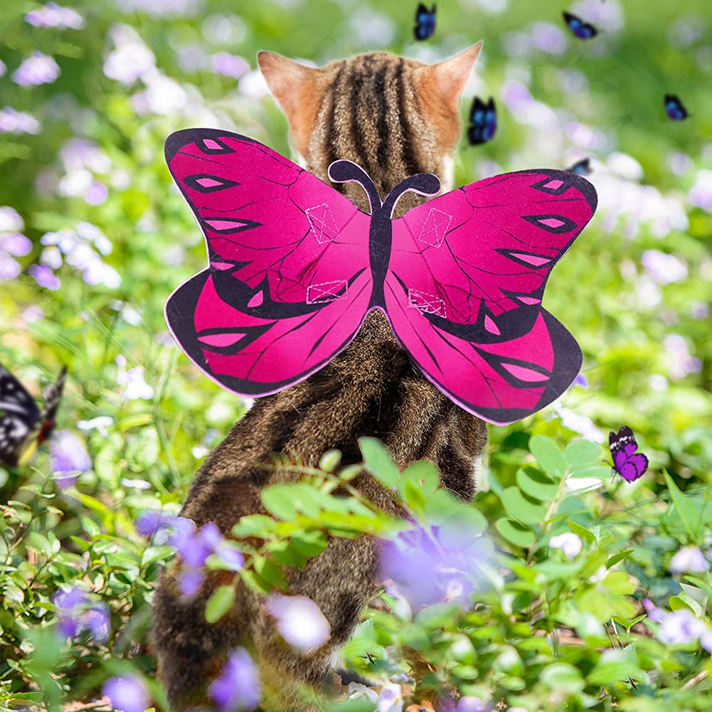 Butterfly Dog Costume Wings, Cat Dog Halloween Costumes Fairy Wings for Small Medium Large, Pet Clothes Puppy Outfit for Christmas Birthday Party Photo Props Dress up Accessories