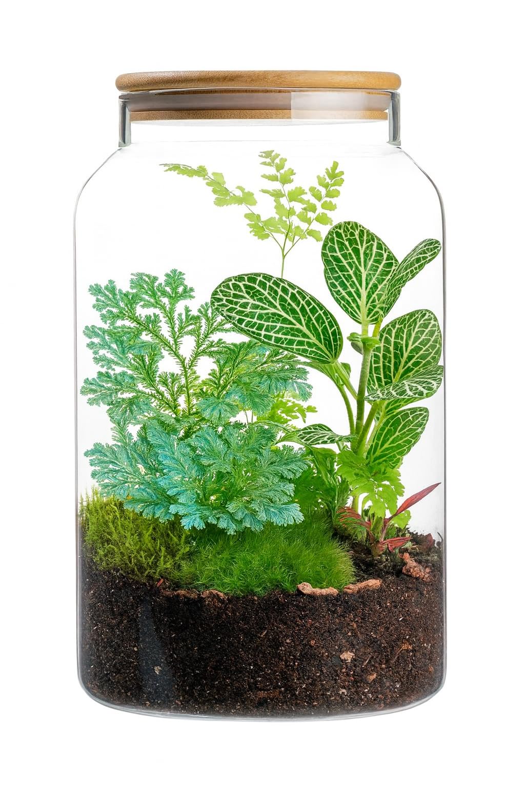 1 Gallon Glass Large Jar with Airtight Bamboo Lid - Strong Clear Borosilicate Canister for Kitchen Food Storage Organizing, Terrarium, Pantry Decorative Container & Laundry Room - Pack of 1