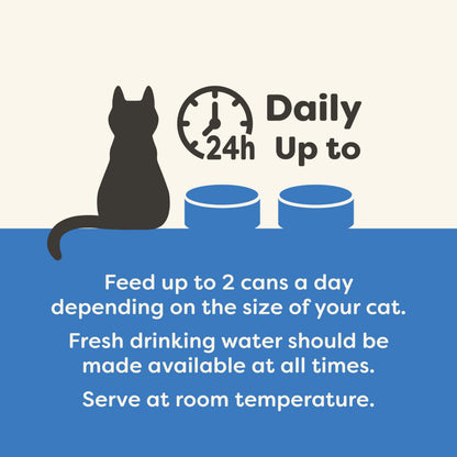 Applaws Natural Wet Adult Cat Food, Fish Selection in Jelly 70g Tin (Pack of 12)