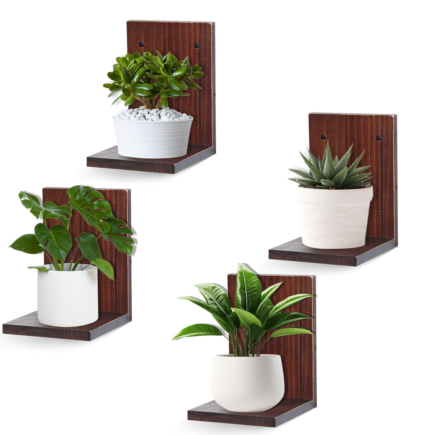 Small Wall Shelf Modern,Wooden Mini Floating Shelves,Indoor Wall Mounted Plants Shelf L Shaped,Midcentury Display Decorative Holder for Gallery Living Room Bedroom Porch,Pine,4 Pack(Rustic Walnut)