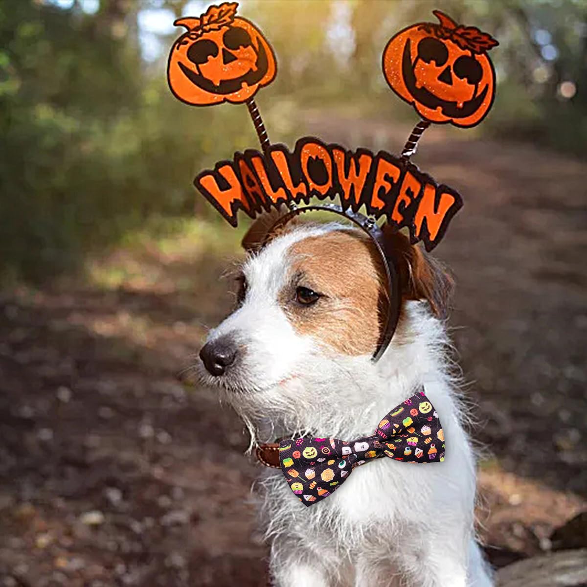 PET SHOW 10pcs Halloween Small Dog Bow Ties for Medium Dogs Puppies Rabbit Cat Detachable Bowties with Elastic Bands Attach to Collar Pet Grooming Collar Attachment Accessories