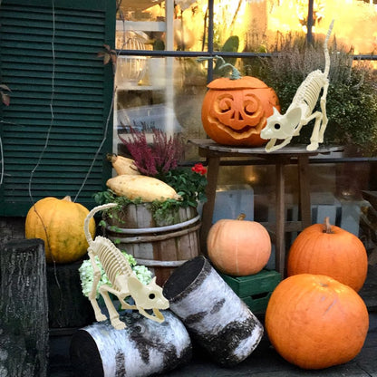 LUKBERA Cat Halloween Decoration, Animal Skeleton with Posable Joints for Graveyard Scene and Haunted Houses