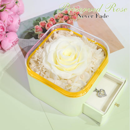 Beferr Valentines Day Gifts for Her Preserved Real Rose with Necklace Eternal Roses Forever Flowers for Delivery Prime Mothers Anniversary Birthday Gifts for Women Mom Grandma Wife Daughter Girlfriend