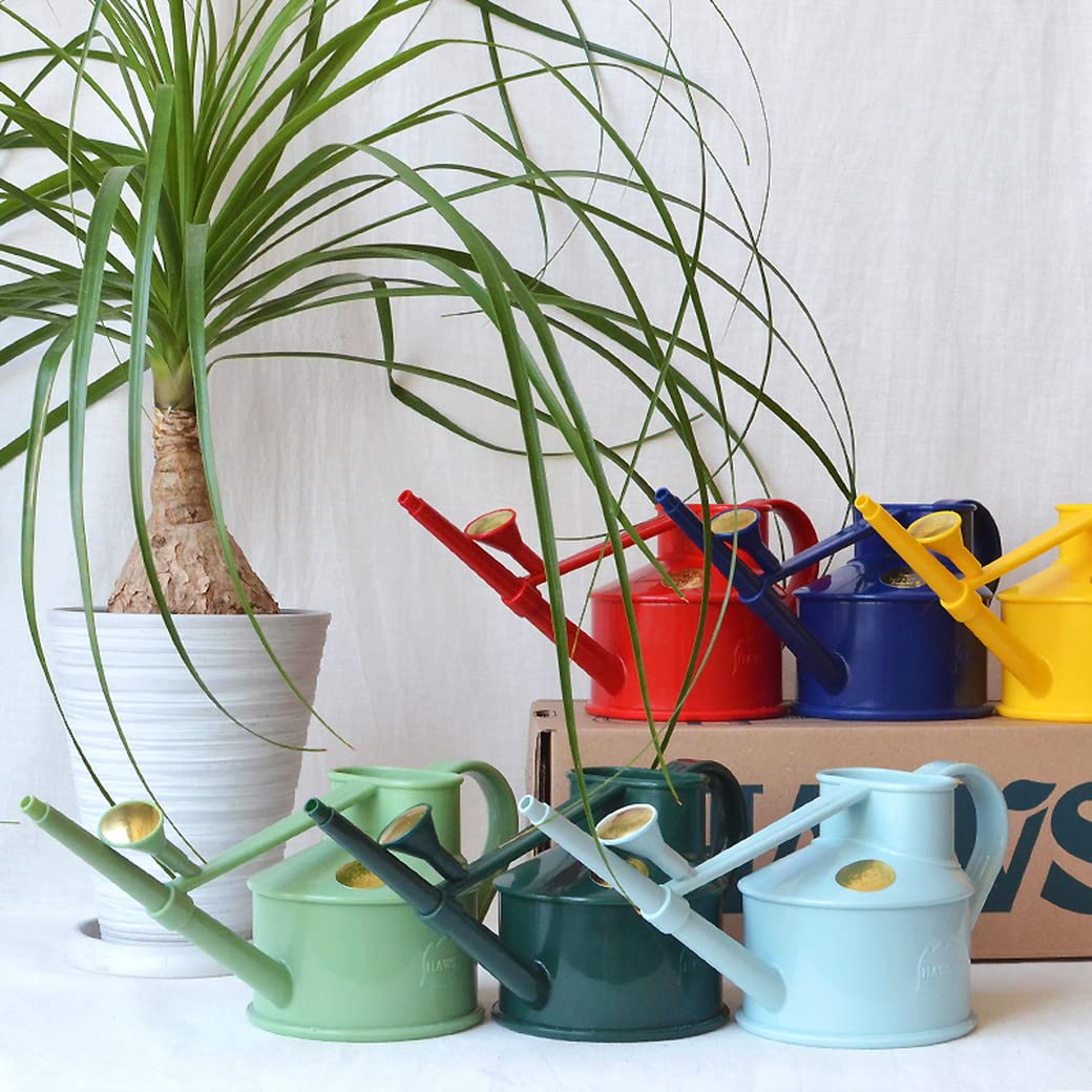 Indoor Plastic Watering Can | The HAWS Langley Sprinkler - One Pint | Pot Waterer | Fine Spray Rose | Sage