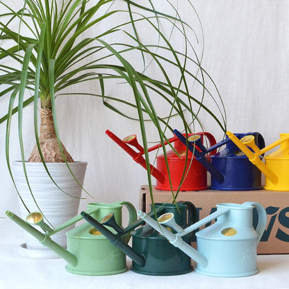 Indoor Plastic Watering Can | The HAWS Langley Sprinkler - One Pint | Pot Waterer | Fine Spray Rose | Sage