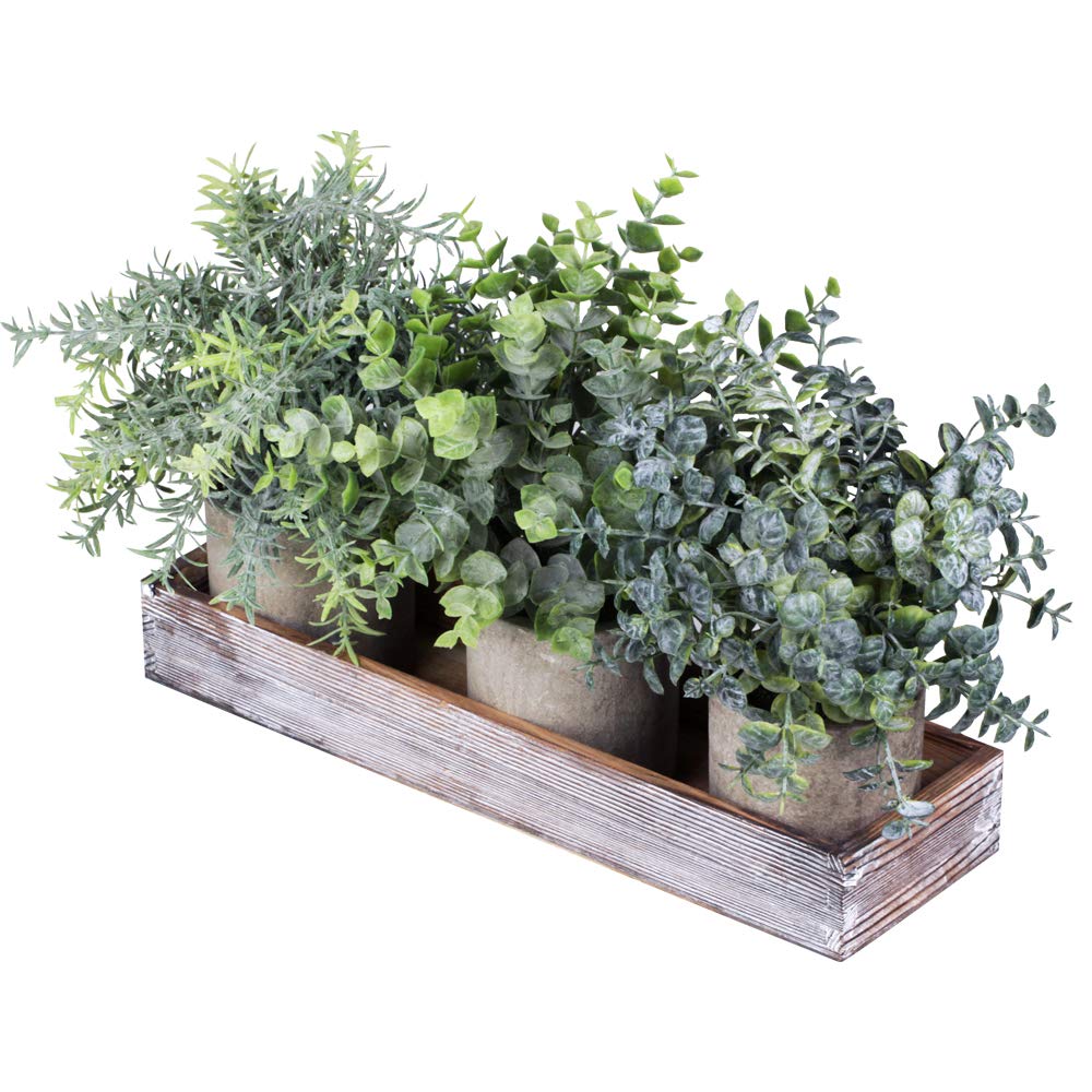 Winlyn Set of 3 Mini Potted Artificial Eucalyptus Plants Faux Rosemary Plant Assortment with Wood Planter Box for Indoor Office Desk Apartment Wedding Tabletop Greenery Decorations 8.7" Tall