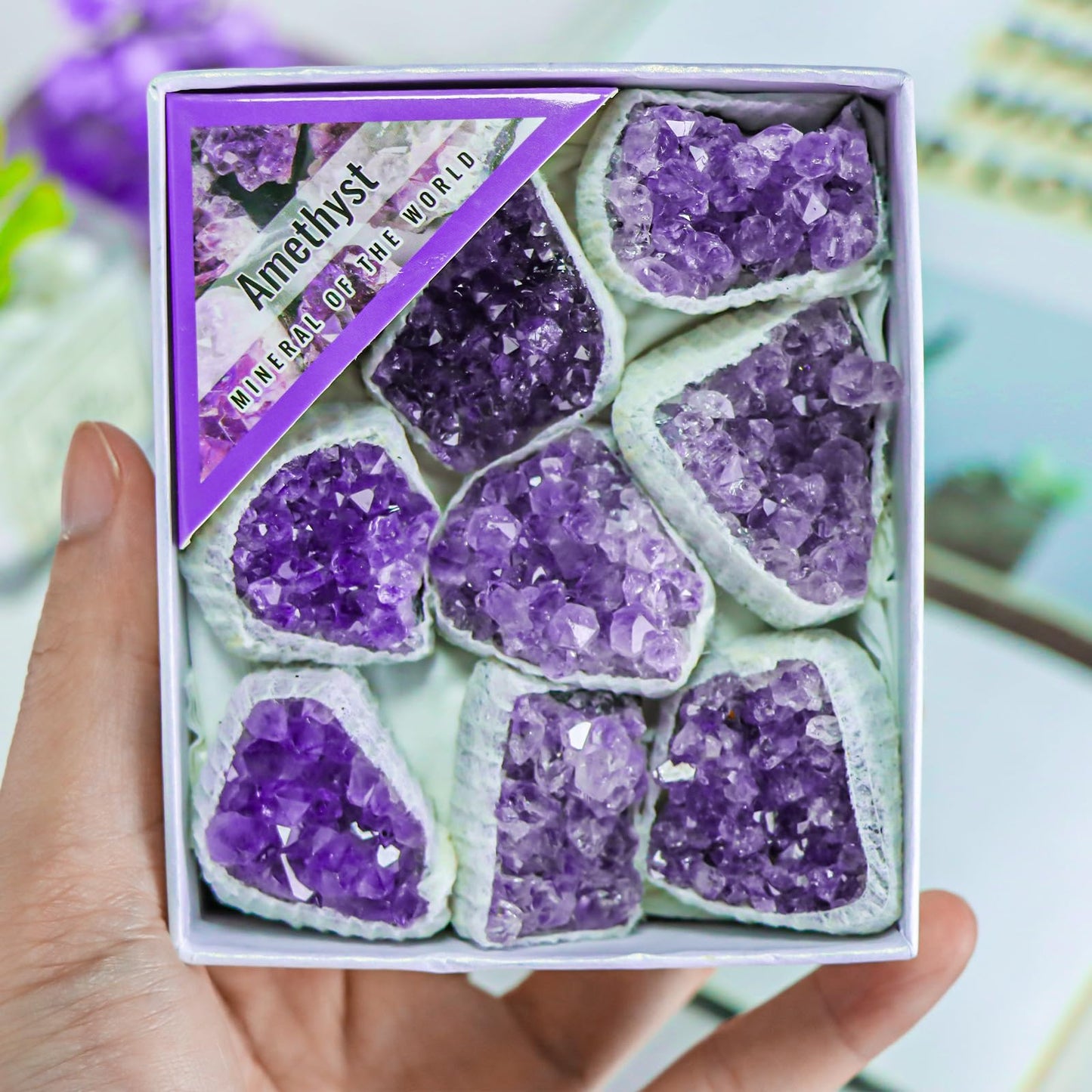 Natural Amethyst Cluster Crystals and Healing Stones,Raw Rough Rocks Gem Stones Meditation Spiritual Protection Home Decor Reiki Gifts for Women Adults,9pcs in Box