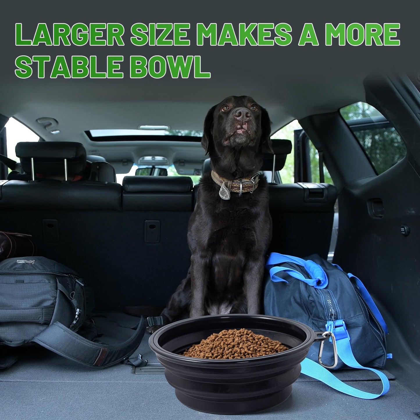 Dog Bowl Pet Collapsible Bowls, 2 Pack for Cats Dogs, Portable Pet Feeding Watering Dish for Walking Parking Traveling with 2 Carabiners (Small, Blue+Green)