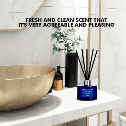Reed Diffusers Set, 3.7 Oz Scent Diffuser, 6 Reed Diffuser Sticks, Home Fragrance Hyacinth, Peony & Citrus, Aromatherapy Oil Diffuser Reeds, More Masculine Scent, Bathroom & Office Decor 110ml