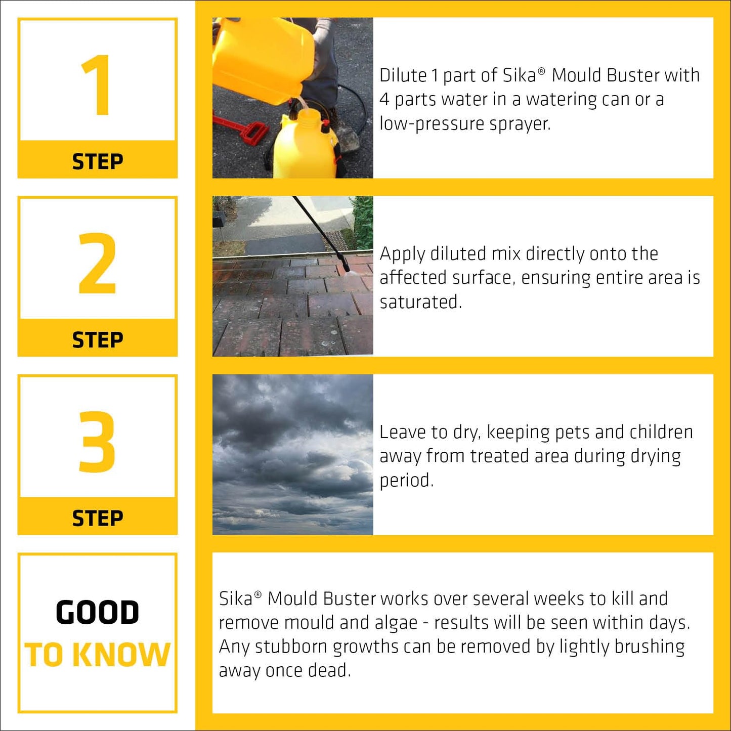Sika Mould Buster 5Lt