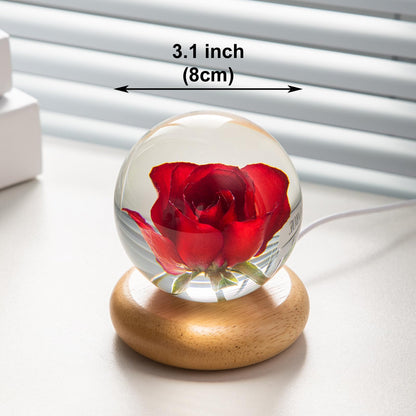 DEALFUN Real Flower Crystal Ball Night Light, Preserved Botanical Resin Sphere with Warm LED Wooden Base, Artistic Floral Lamp, Aesthetic Decor, Eternal Flower Gift for Women, Mom, Her (Rose)