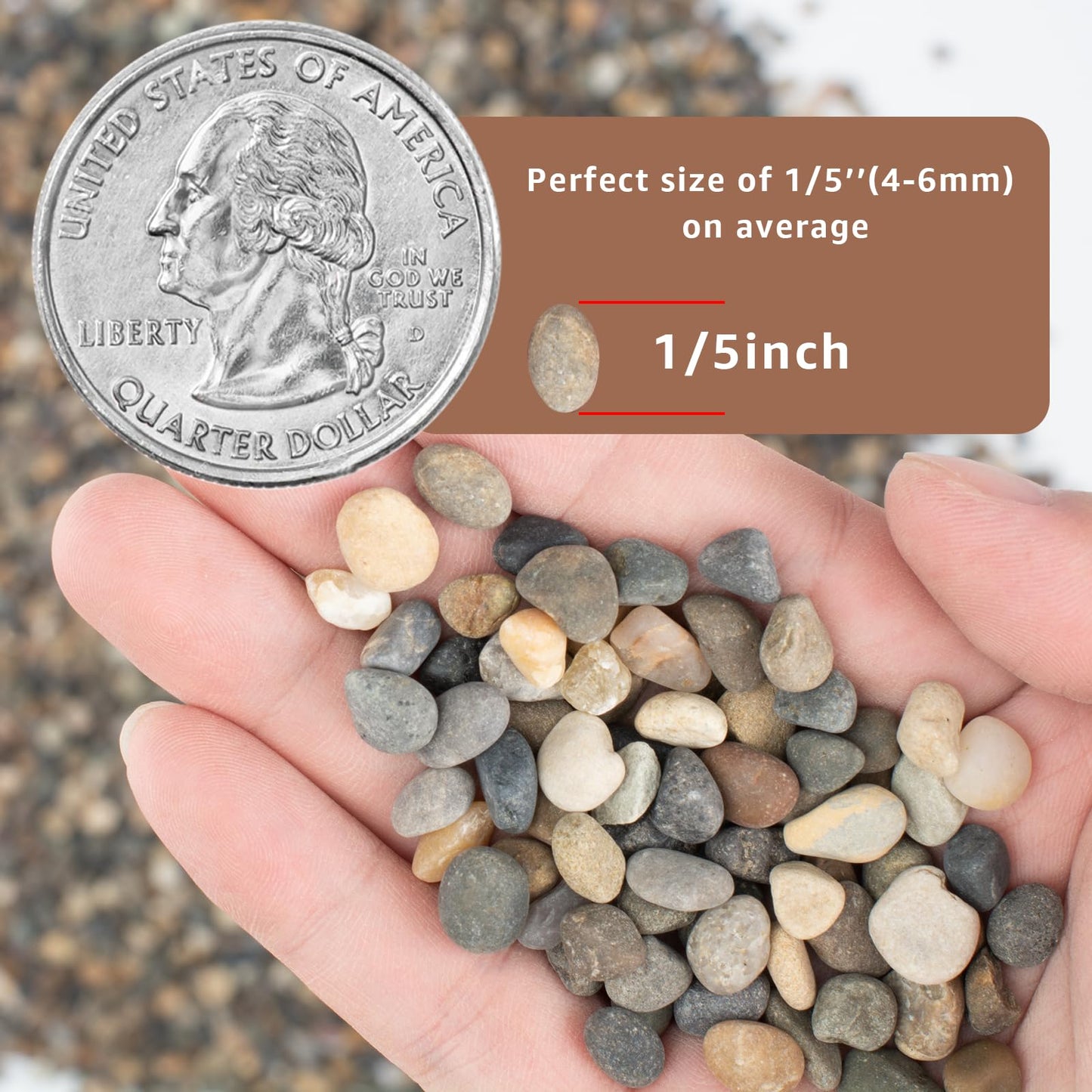 5LB Natural River Rocks, 1/4" Aquarium Gravel, Small Pebbles for Plants, Pea Gravel for Fish Tanks, Decorative Rocks for Gardening, Flower Pots, Vase Fillers, Indoor Fountains (10, Pounds) (5 LBS)