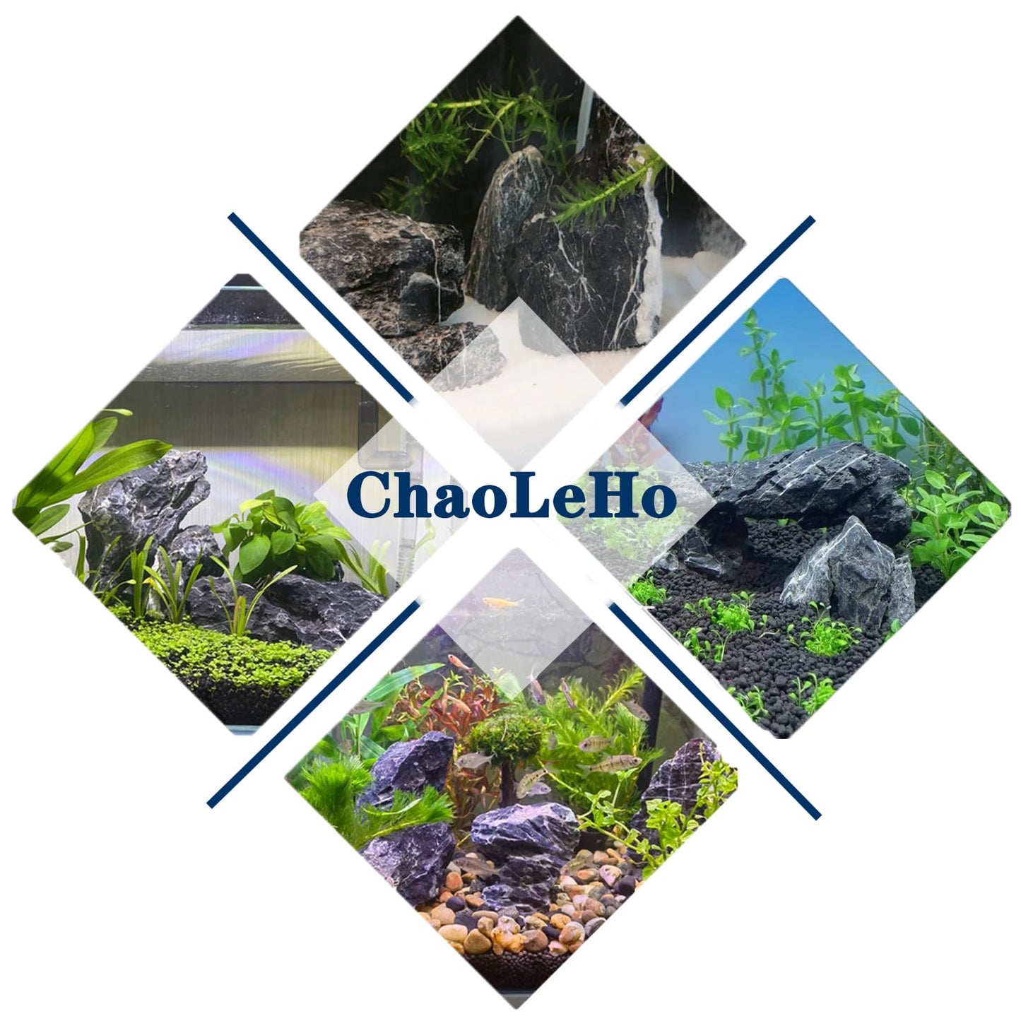 ChaoLeHo Aquarium Rocks Seiryu Stones Natural Hardscape Stone for Aquariums, Fish Tanks, Bonsai, Terrariums, Wargaming Dioramas, Indoor or Outdoor Gardens-5lb(2-6 Inch)