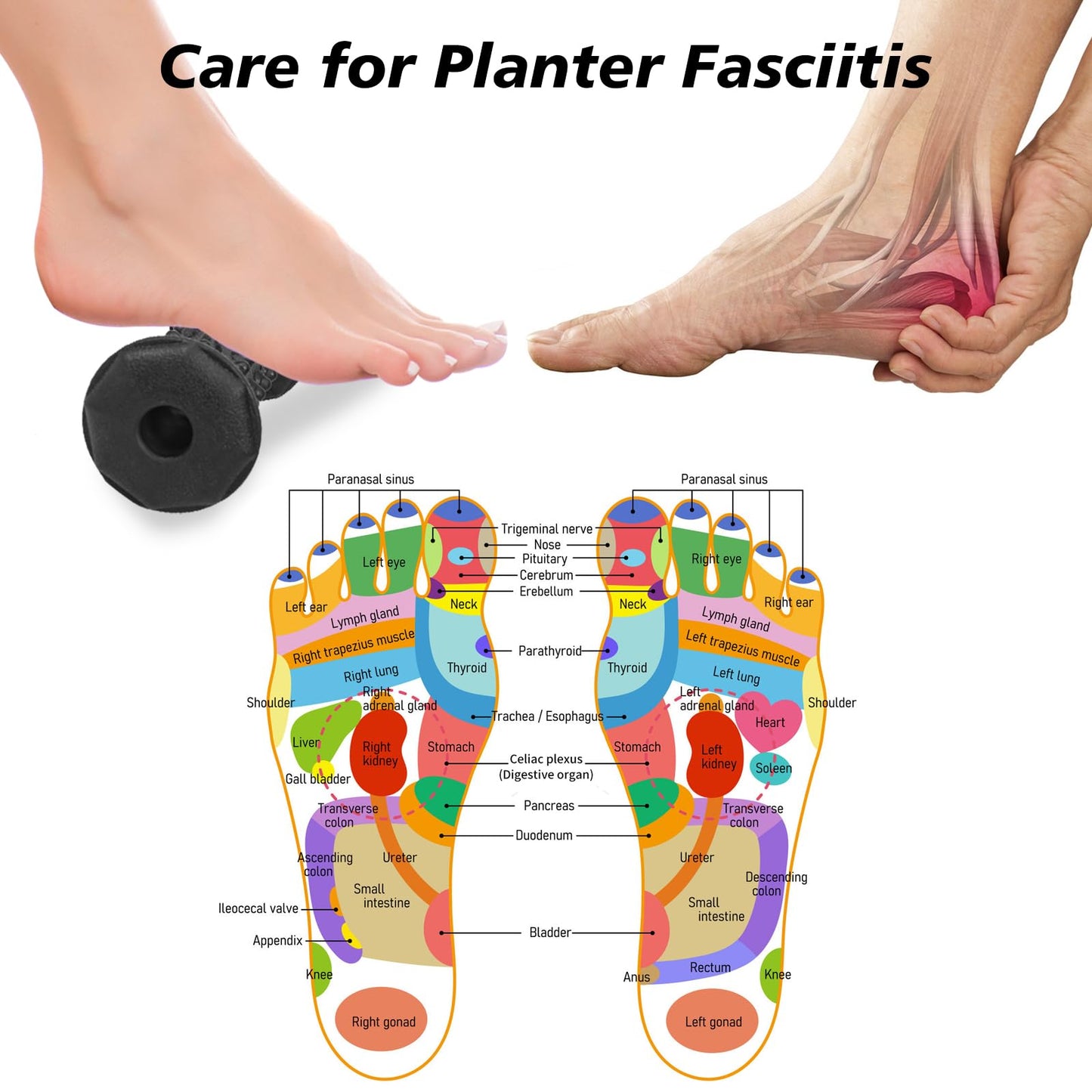 Plantar Fasciitis Relief,Foot Roller Massager,Massage Lacrosse Ball,Spiky Ball Therapy Set for Relieve Plantar Fasciitis,Foot Arch and Heel Pain,Neuropathy Pain Relief Feet,Deep Tissue Muscle Massage