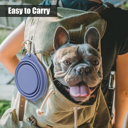 SLSON Collapsible Dog Bowls,Integrated Molding Dog Double Bowl No Plastic Rim 2 in 1 Foldable Pet Food & Water Bowl Cat Feeder Dish for Walking,Hiking,Camping (Cold Grey)
