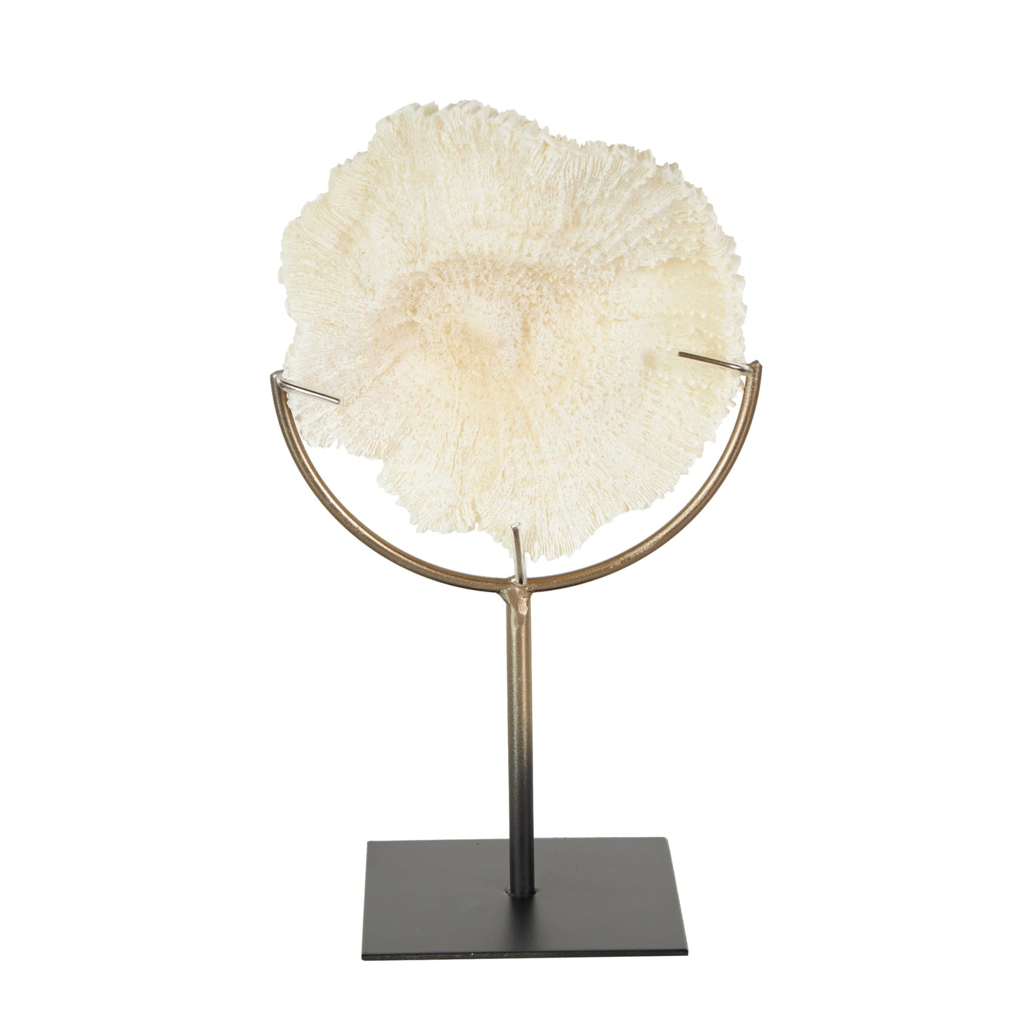 Deco 79 Polystone Coral Decorative Sculpture Textured Home Decor Statue with Bronze Stand, Accent Figurine 7" x 5" x 12", Light Blue