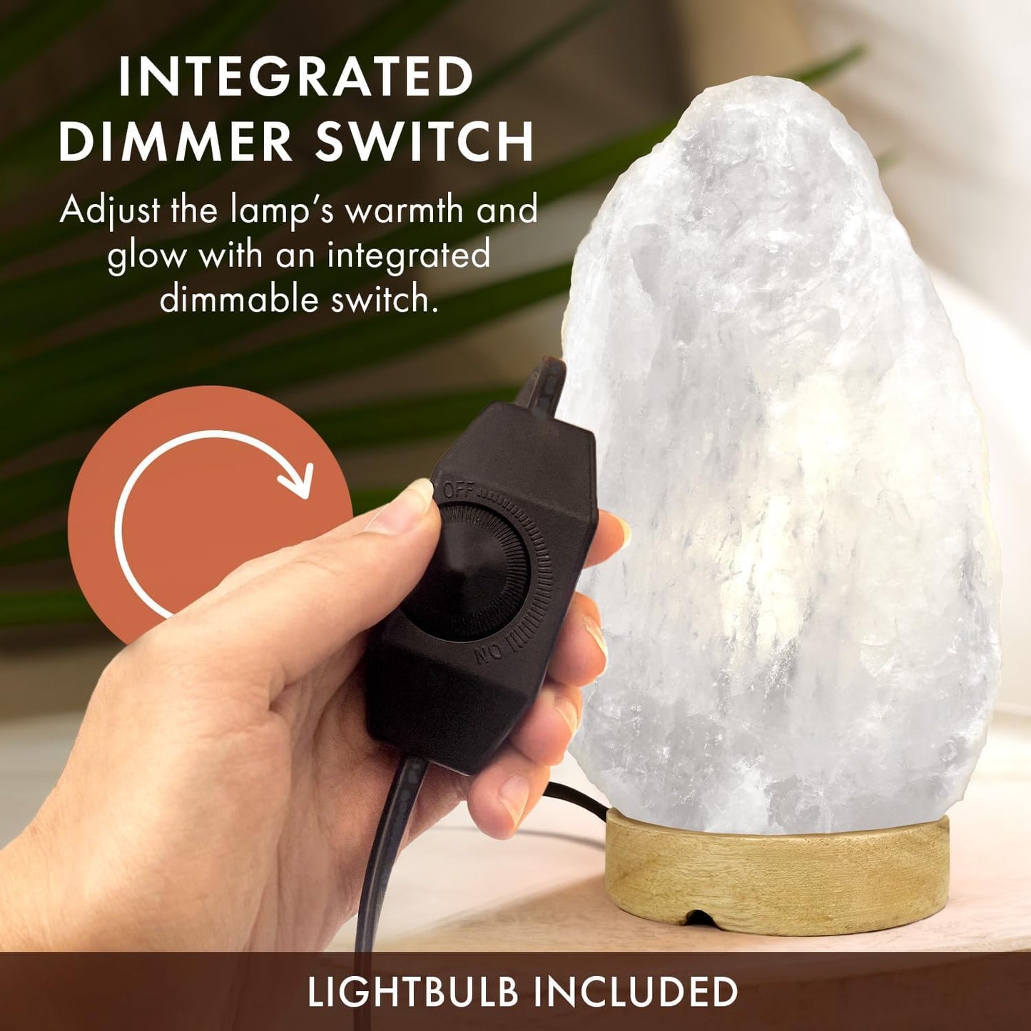 The Body Source Himalayan Salt Lamp 10-12 Inches (11-15lb) | Includes Dimmer Switch | Natural Salt Rock Lamp with Handcrafted Wooden Base & Night Light (Bulb Replacement)
