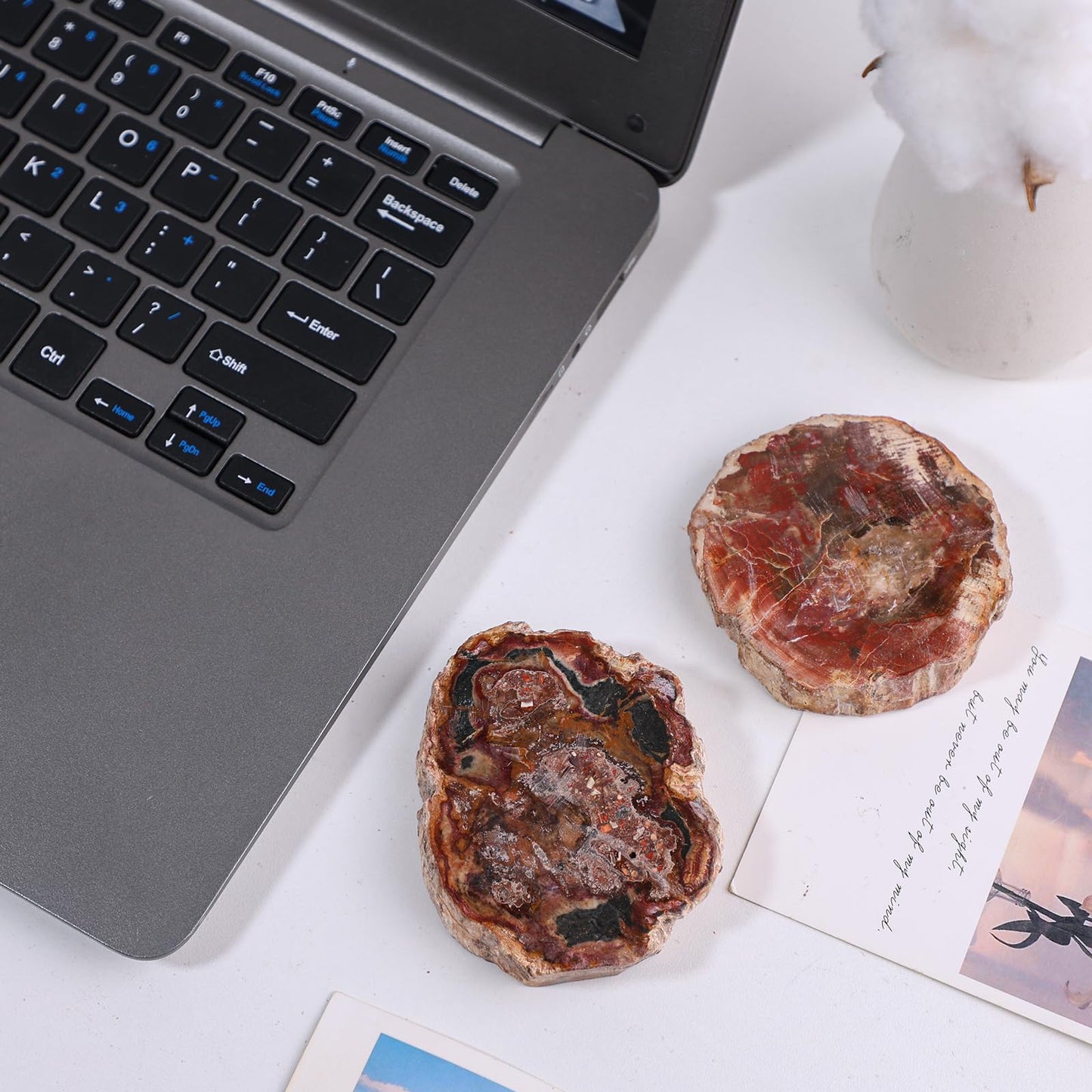SUNYIK Irregular Natural Petrified Wood Slab Slice Stone Mineral Specimen 3"-5", Pack of 1
