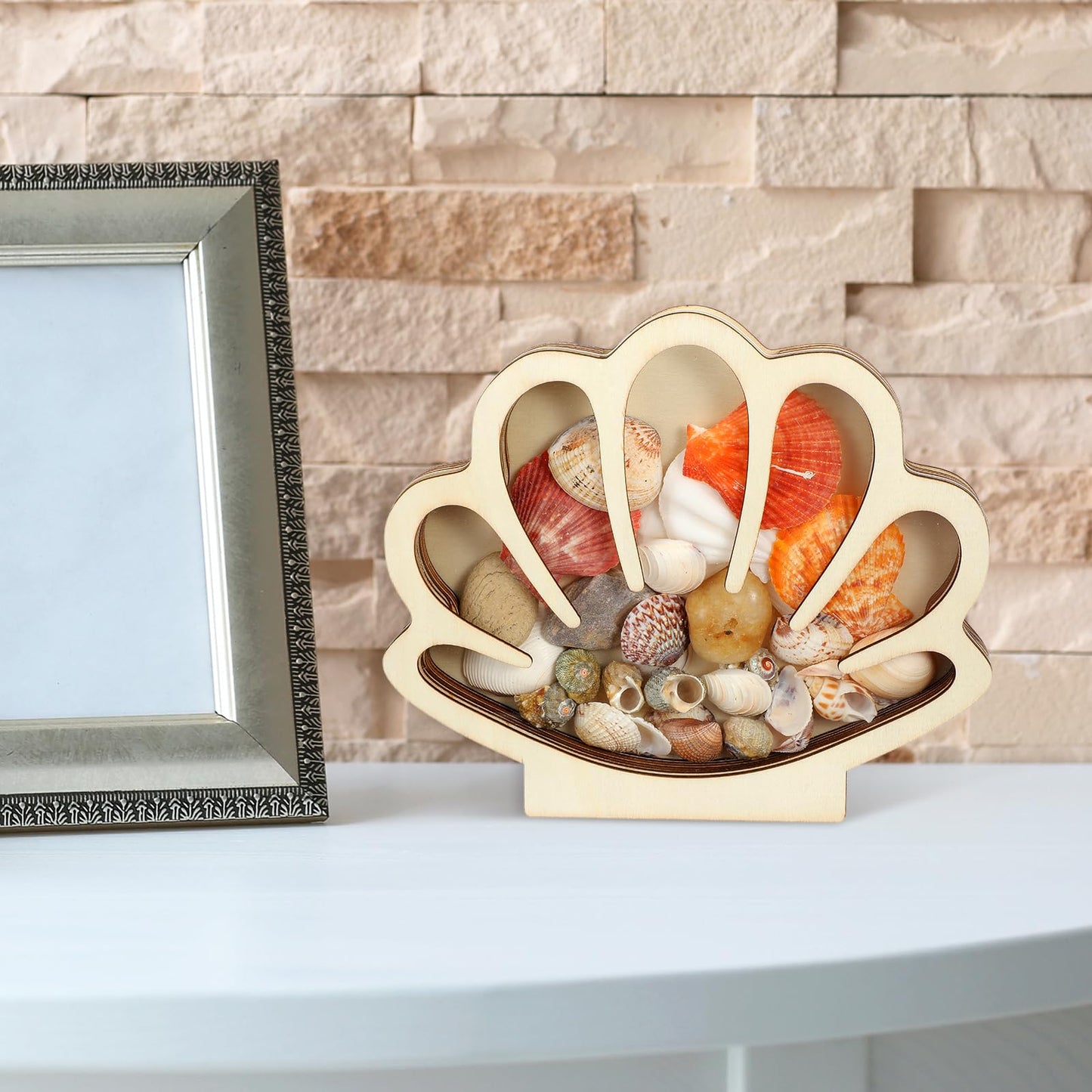 Ckhoid 2PCS Sea Shell Holder, Wooden Seashell Display Case with Clear Window, Small Shadow Storage Box for Shells Starfish Shark Tooth Keepsake, Coastal Beach Room Collection Container Decor Gift