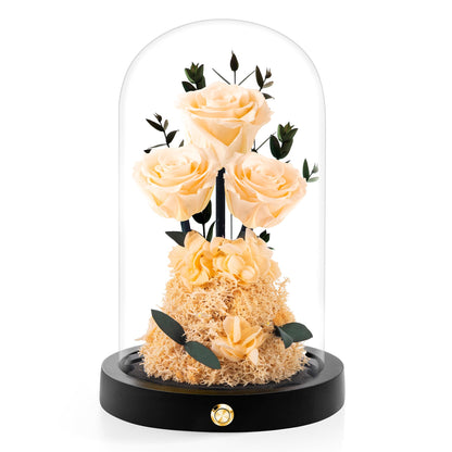 Valentines Day Flowers Roses Gifts for Her,Forever Real Preserved Roses in Glass Dome,Valentines Day Anniversary Birthday Gifts for Wife Girlfriend Women Mom Best Friend Her/Purple Rose