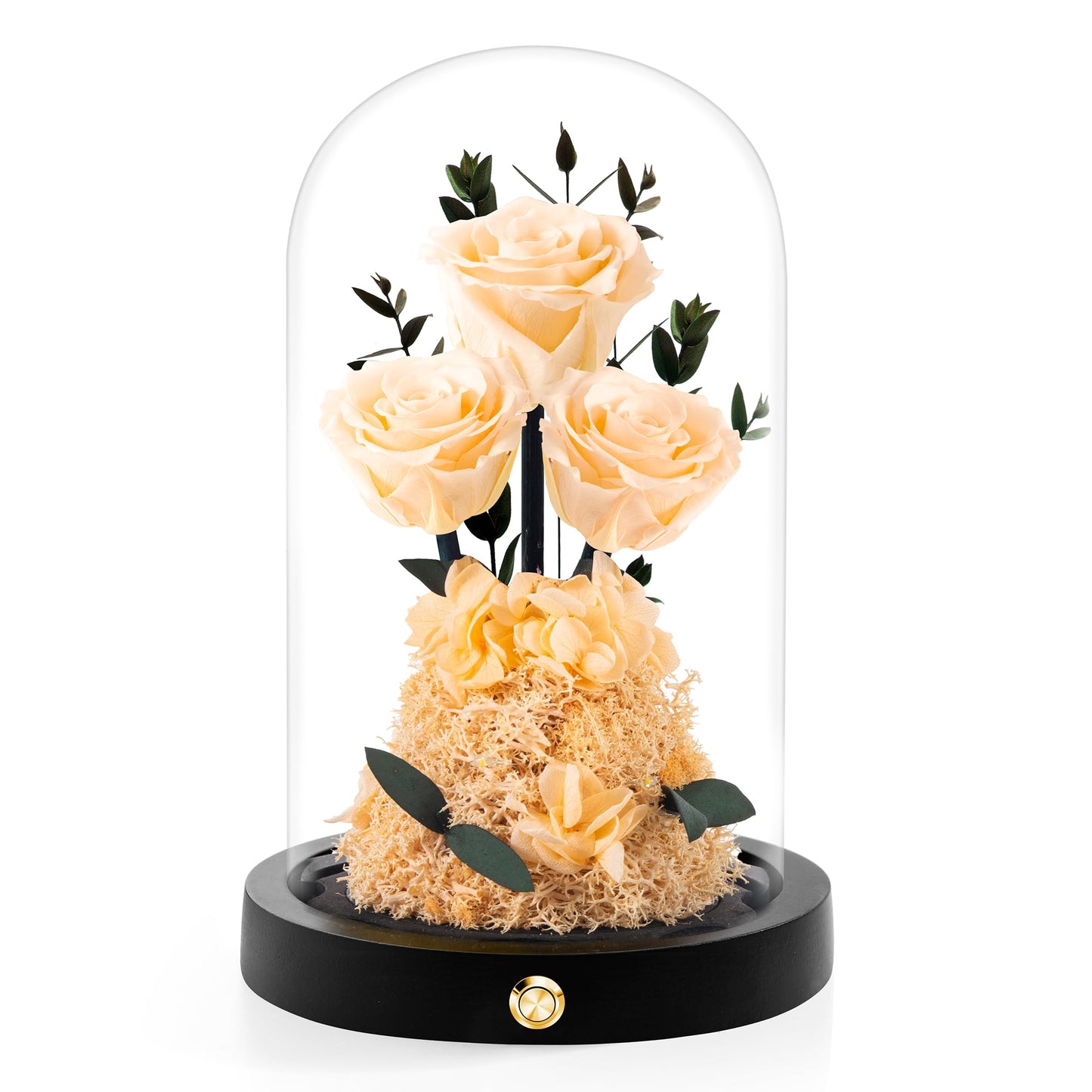 Valentines Day Flowers Roses Gifts for Her,Forever Real Preserved Roses in Glass Dome,Valentines Day Anniversary Birthday Gifts for Wife Girlfriend Women Mom Best Friend Her/Purple Rose