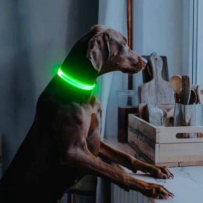 Illumifun Light Up Dog Collar, USB Rechargeable LED Dog Collar Glow in the Dark, Adjustable Pet Collar Safety Dog Lights for Night Walking (Green, Medium)