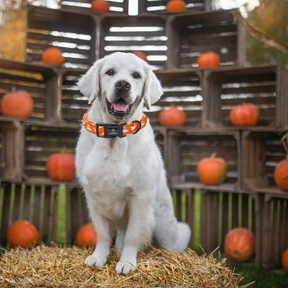 Lionheart glory Halloween Dog Collar Fall Dog Collars Heavy Duty Adjustable Dog Collar for Small Collar Dog Female or Male Dog Collar, Ghost