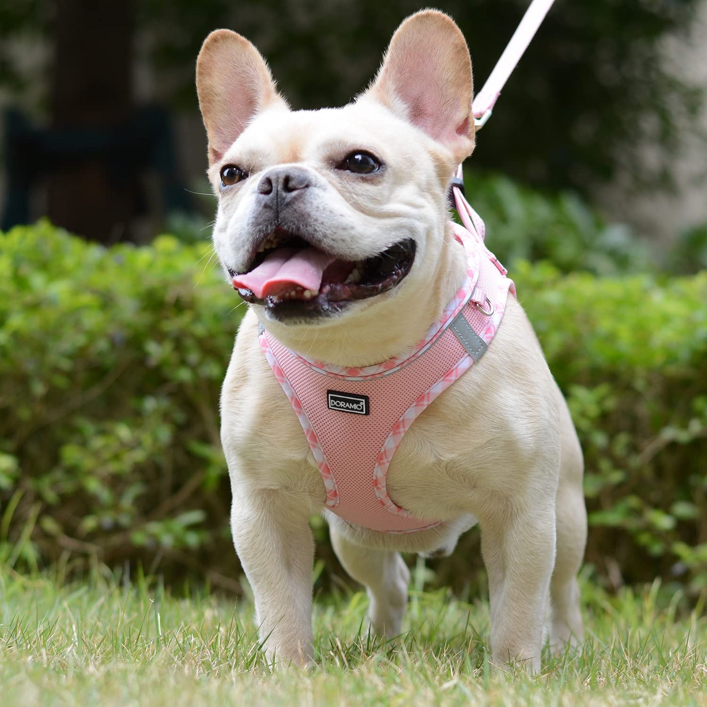 DORAMIO Step-in Dog Harness and Leash Set, Soft Mesh No-Chock Reflective Breathable Easy Walk Lightweight Vest Harnesses with Safety Buckle for Small Dogs, Cats, Puppies (Pink, XXS)