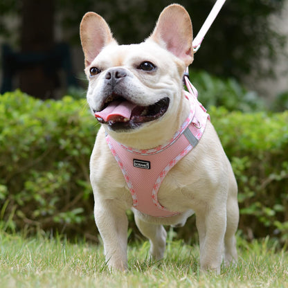 DORAMIO Step-in Dog Harness and Leash Set, Soft Mesh No-Chock Reflective Breathable Easy Walk Lightweight Vest Harnesses with Safety Buckle for Small Dogs, Cats, Puppies (Pink, XXS)