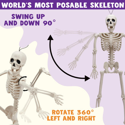 JOYIN 2PCS 16" Halloween Skeleton Decor, Full Body Stayable Movable Joints, Posable Hanging Skeletons for Halloween Decoration, Yard, Graveyard, Haunted House Props, Spooky Scene Party Favor