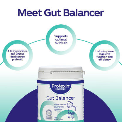 Protexin Equine Horse & Pony Gut Balancer, 700g, Advanced Digestive Support