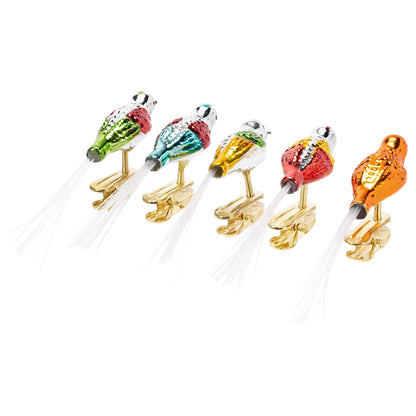 Kurt Adler Early Years Glass Clip-On Bird, 4.5-Inch, Set of 5