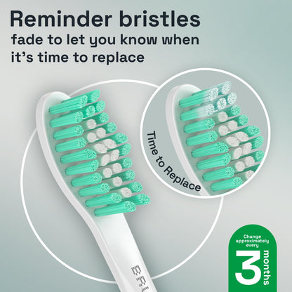 Brushmo e-Series Electric Sonic Toothbrush - Rechargeable Screw-On Electronic Tooth Brush for Adults with 3 Modes & Timer - IPX7 Waterproof, Long-Lasting Battery & Wireless Charging Base - White
