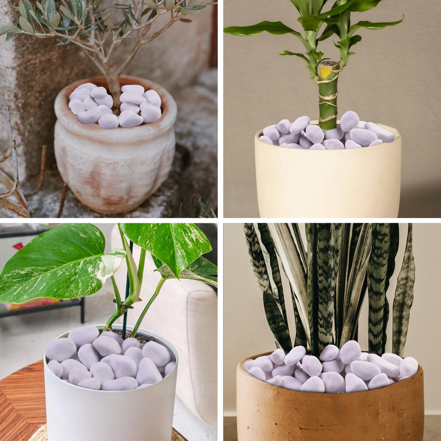 Lechloris 10Ib White River Rocks for Landscaping- High Polished White Pebbles for Plants-Garden Decorative Stones-1-2 Large Plant Rocks,Ideal for Aquarium, Home Decor