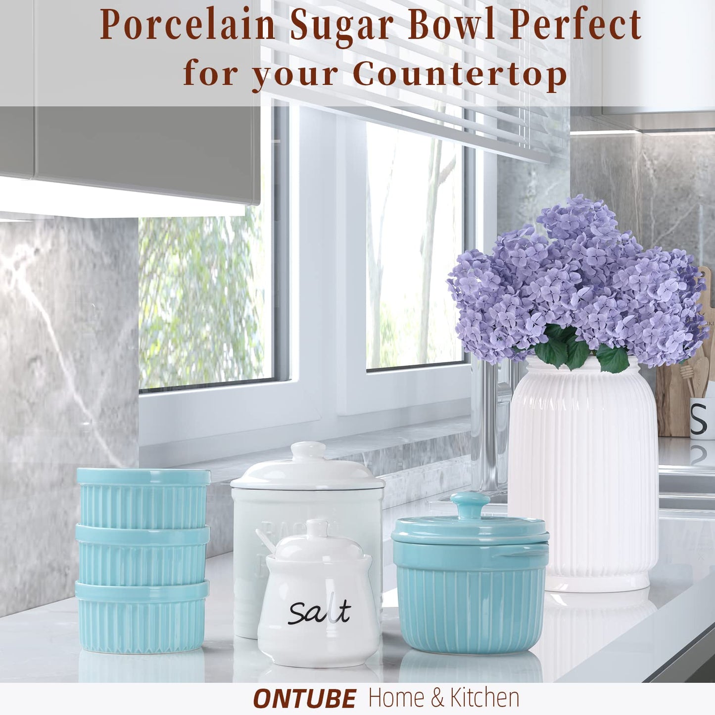 ONTUBE Ceramic Salt Bowl with Lid and Spoon 12oz (White)