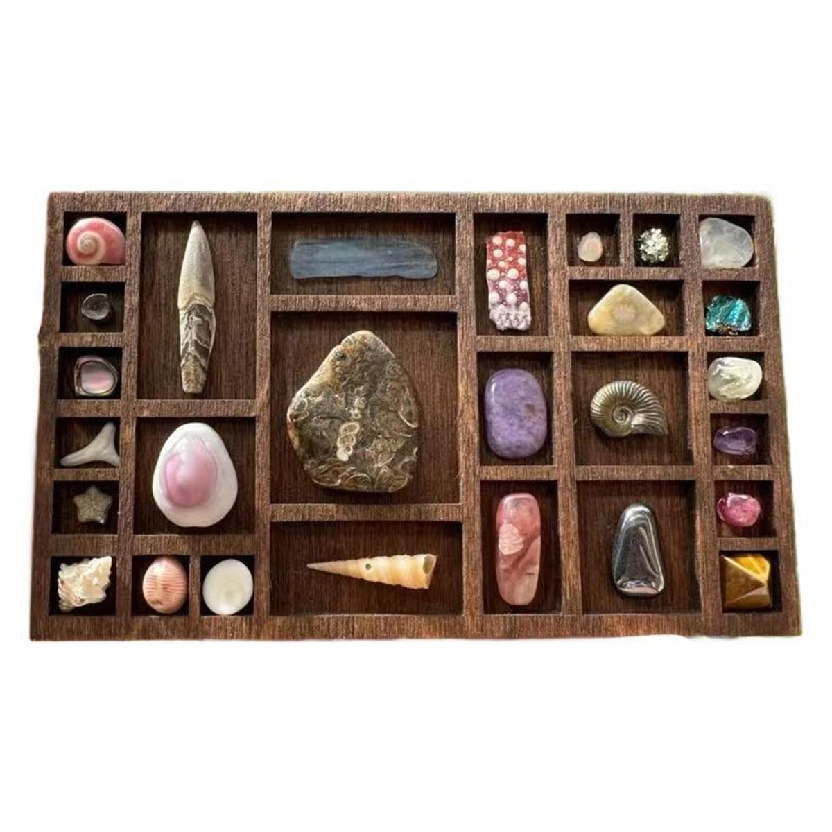 FABLOFT Miniature Trinket Shelf Organizer Home Decoration Collectibles Holder Wooden C | Rocks, & Minerals | Crystals & Mineral Specimens |1 Miniature Trinket Shelf