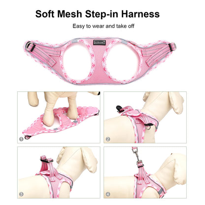 DORAMIO Step-in Dog Harness and Leash Set, Soft Mesh No-Chock Reflective Breathable Easy Walk Lightweight Vest Harnesses with Safety Buckle for Small Dogs, Cats, Puppies (Pink, XXS)