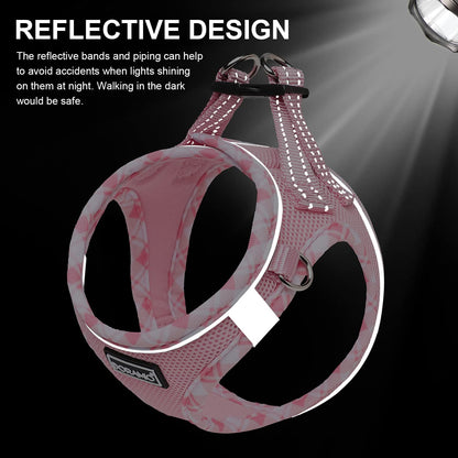 DORAMIO Step-in Dog Harness and Leash Set, Soft Mesh No-Chock Reflective Breathable Easy Walk Lightweight Vest Harnesses with Safety Buckle for Small Dogs, Cats, Puppies (Pink, XXS)